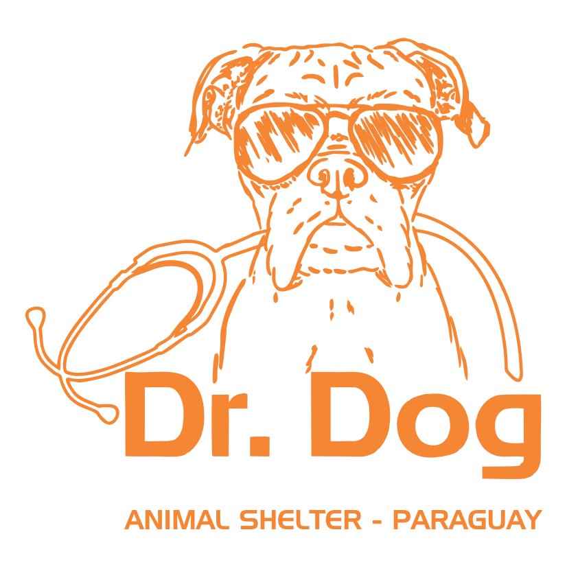 Dr. Dog